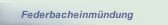 Federbacheinm&uuml;ndung 
